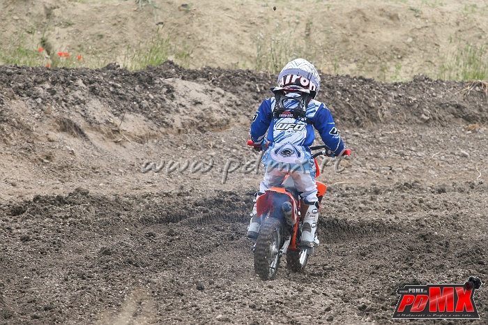 IMG_7306.JPG