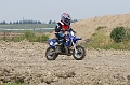 IMG_7317