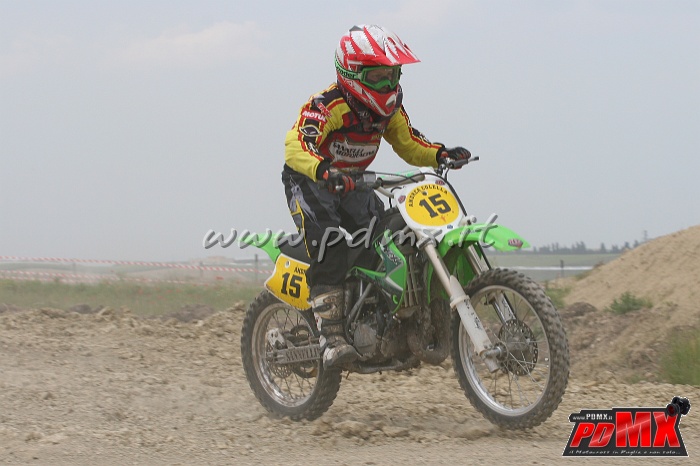 IMG_8264.JPG - Andrea Colella