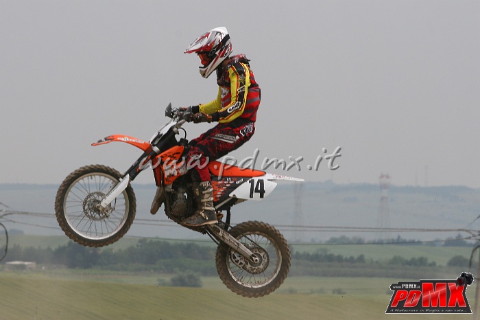 IMG_7208.JPG - Michele Sannelli