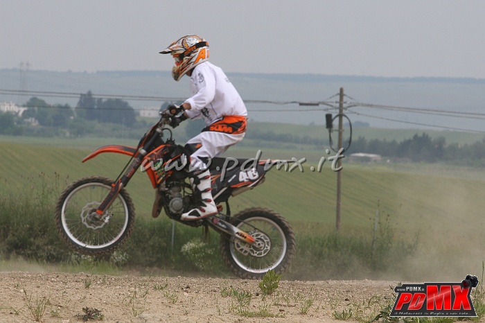 IMG_7210.JPG - Nicola Losito