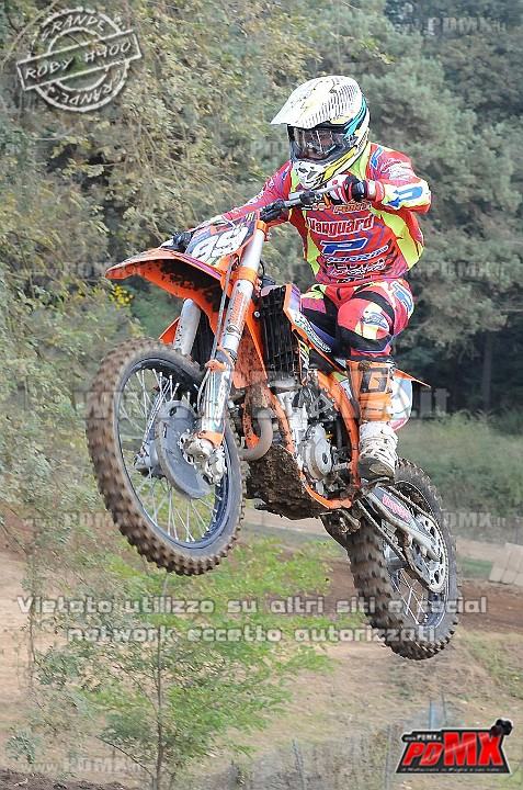 DSC_3761.jpg