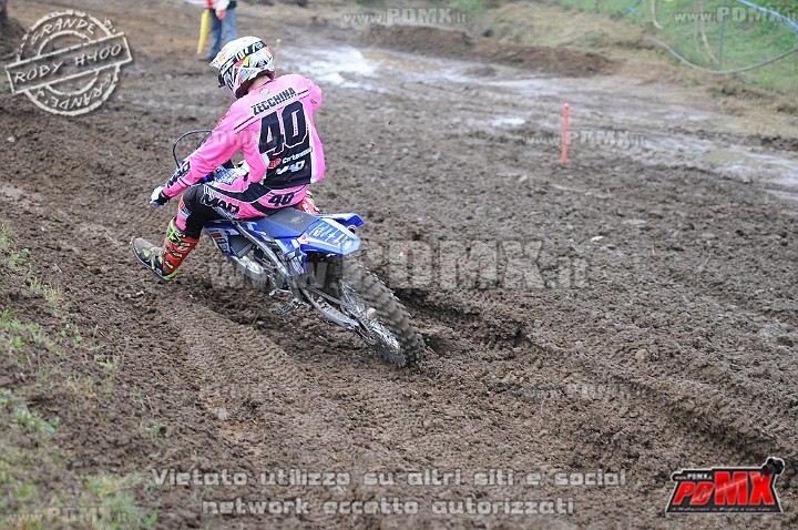 DSC_4833.jpg