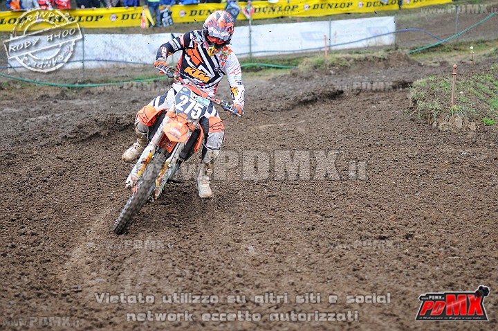 DSC_4911.jpg
