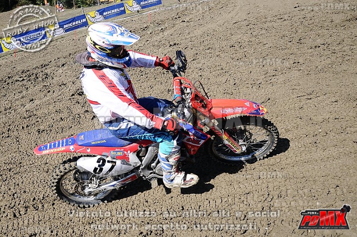 DSC_3527.jpg