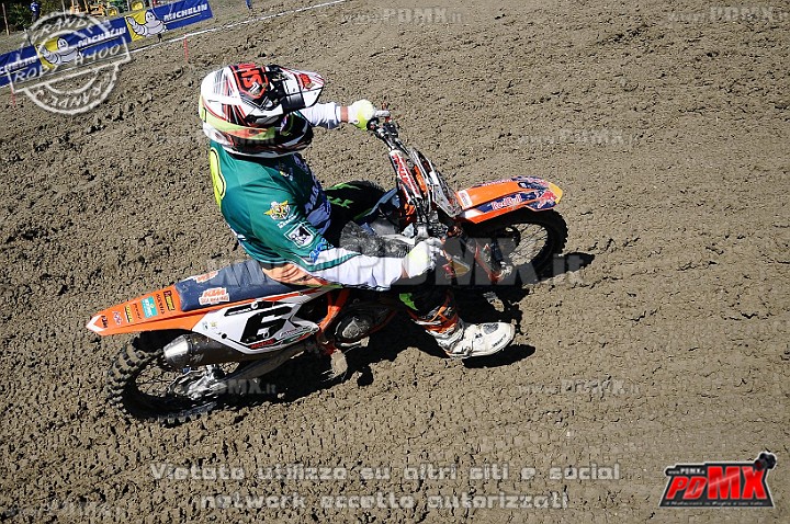 DSC_3517.jpg