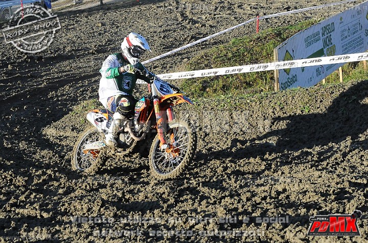 DSC_5623.jpg