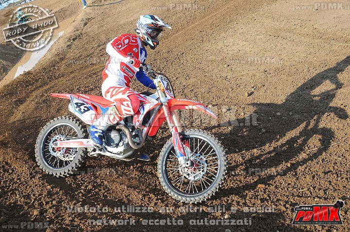 DSC_8587.JPG