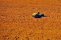 _DSC6116