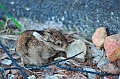 _DSC6125