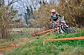 _DSC7361