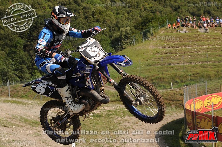 FOX_2905.JPG