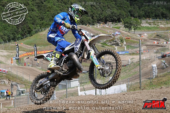 FOX_3003.JPG