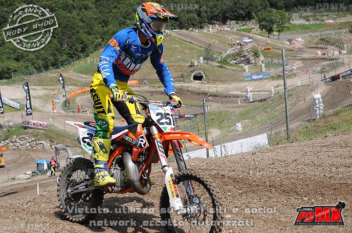 FOX_3005.JPG