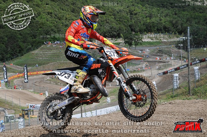 FOX_3008.JPG