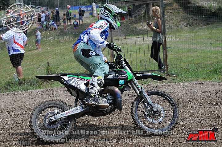 FOX_3024.JPG