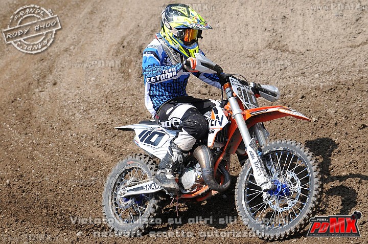 FOX_3044.JPG