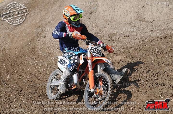 FOX_3048.JPG
