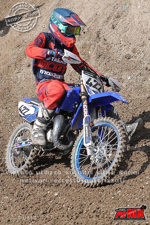 FOX_3049.JPG