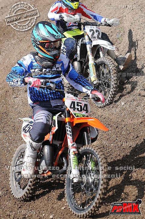 FOX_3050.JPG
