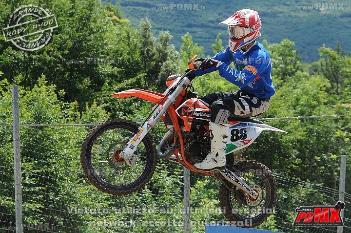FOX_3071.JPG