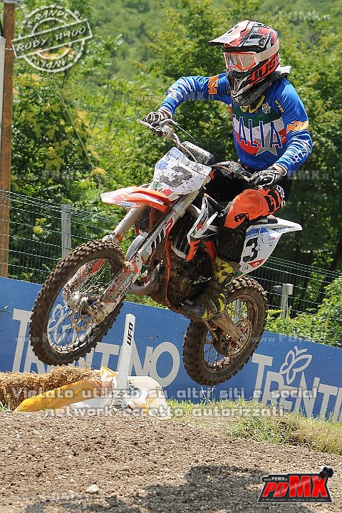 FOX_3075.JPG