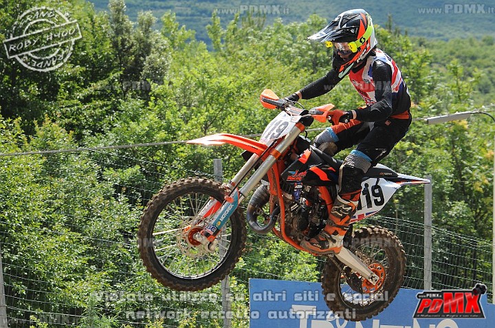 FOX_3078.JPG