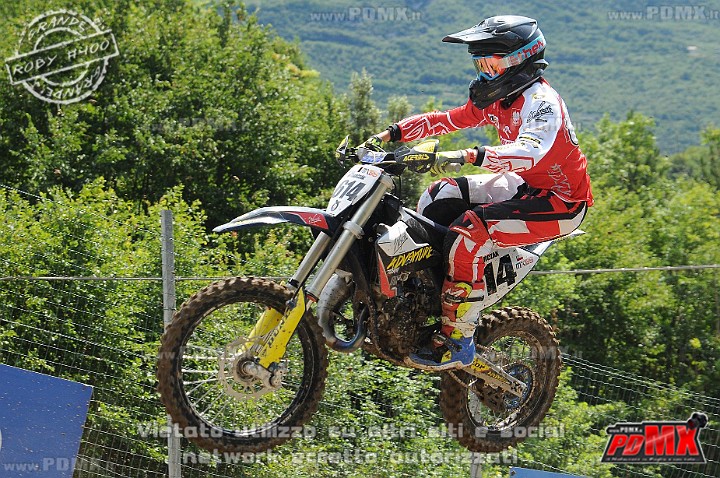 FOX_3091.JPG