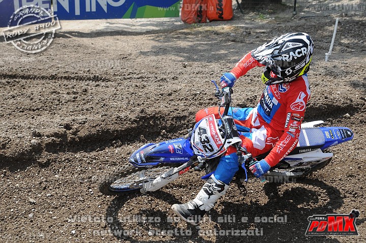 FOX_3110.JPG