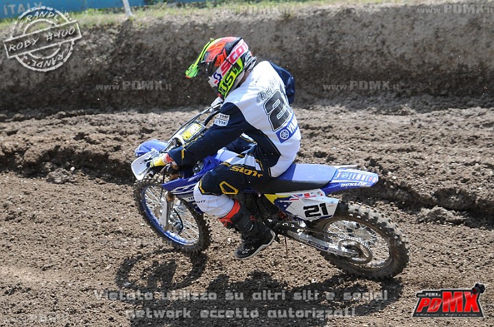 FOX_3120.JPG