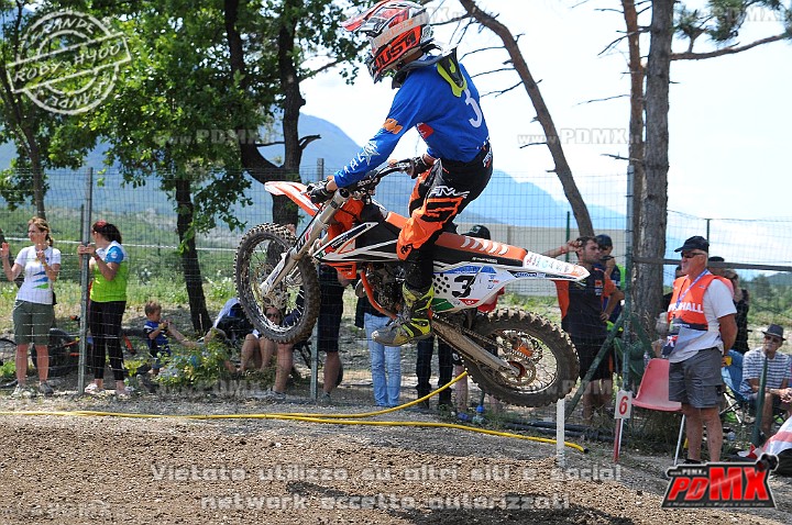 FOX_3126.JPG