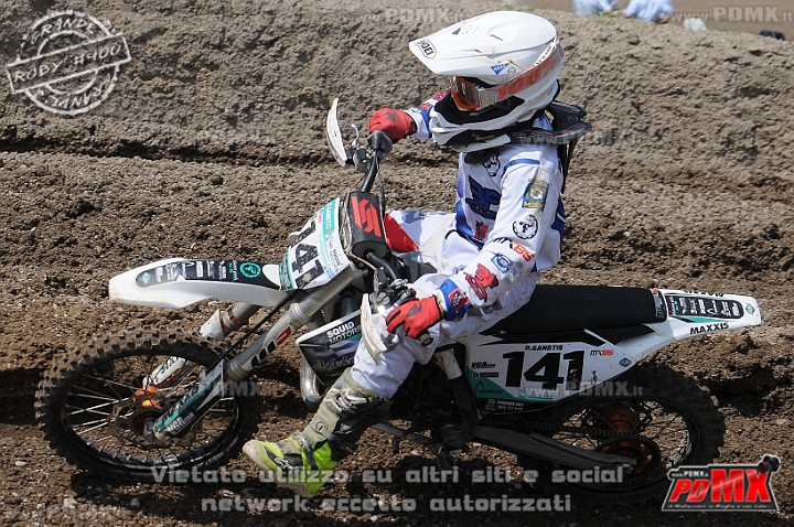 FOX_3136.JPG