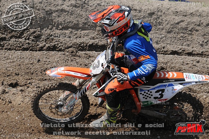 FOX_3137.JPG