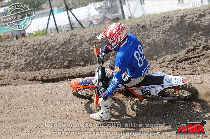 FOX_3144.JPG