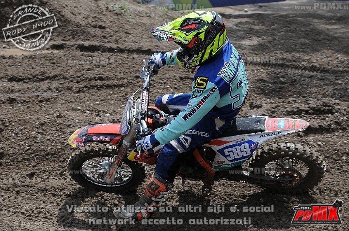 FOX_3158.JPG