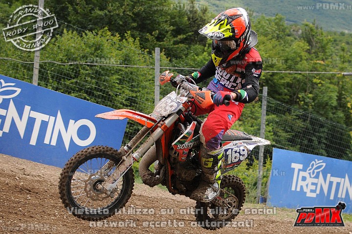 FOX_3170.JPG