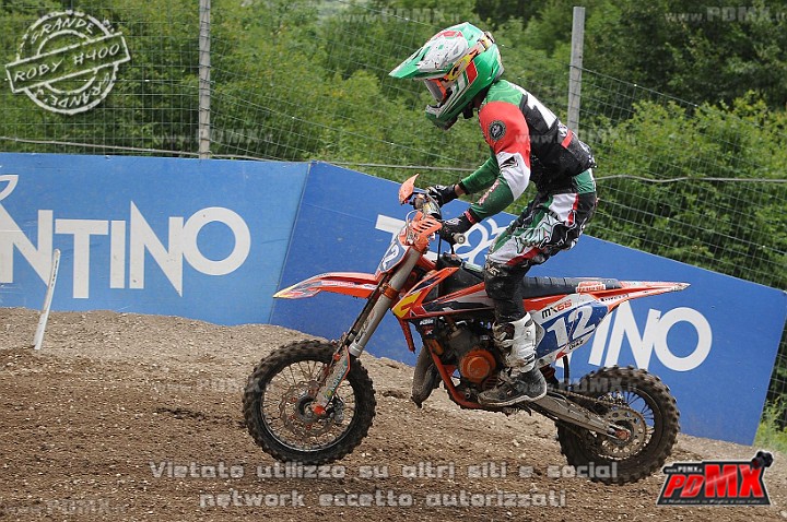 FOX_3172.JPG