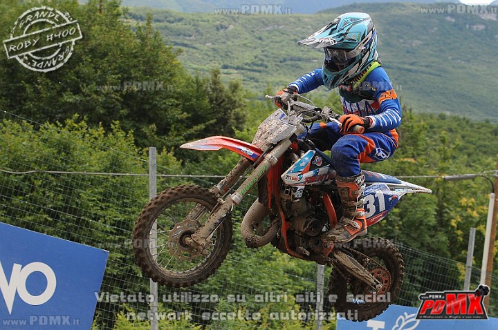 FOX_3175.JPG