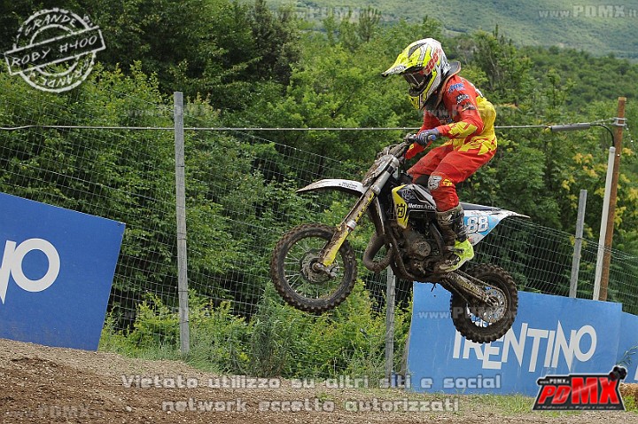 FOX_3180.JPG