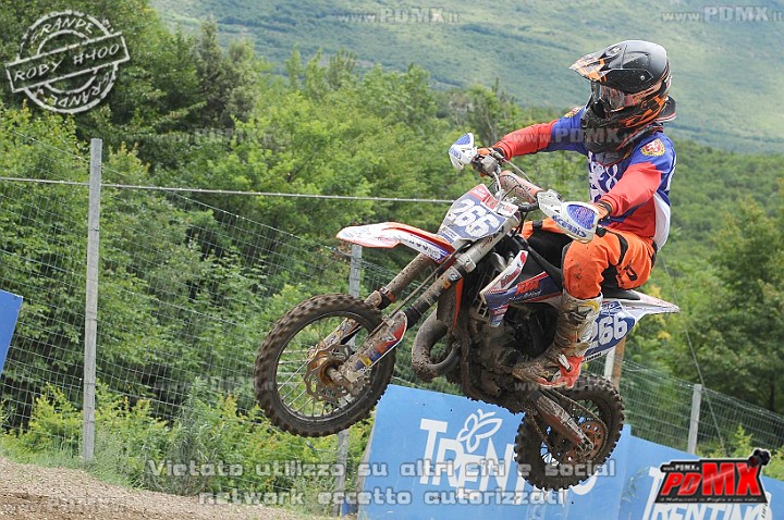 FOX_3185.JPG