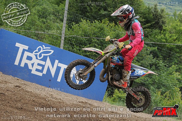 FOX_3191.JPG