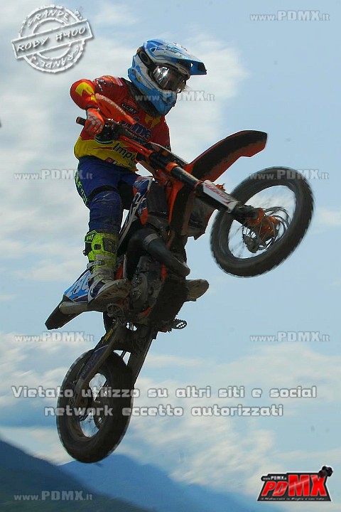 FOX_3212.JPG