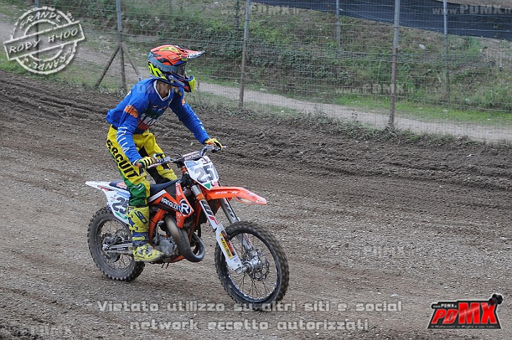 FOX_3244.JPG