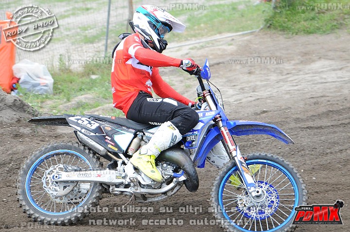 FOX_3284.JPG
