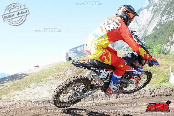 FOX_3300.JPG