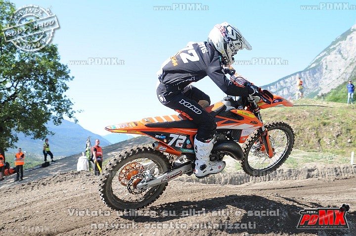 FOX_3305.JPG