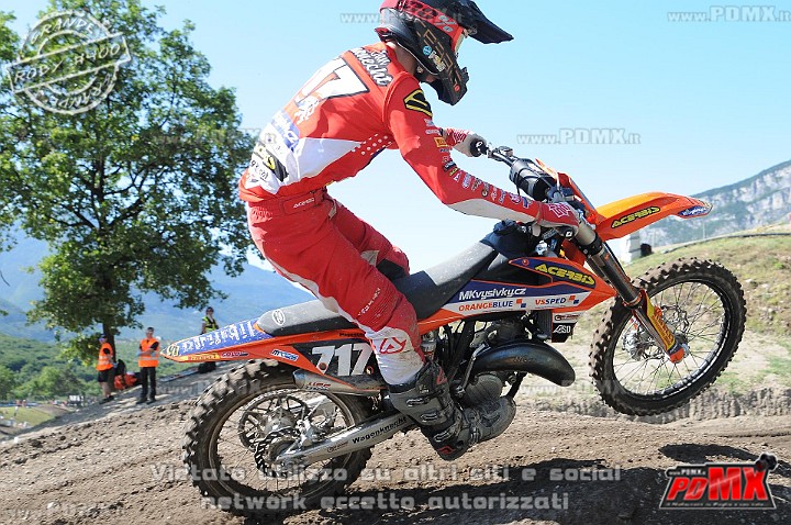 FOX_3306.JPG