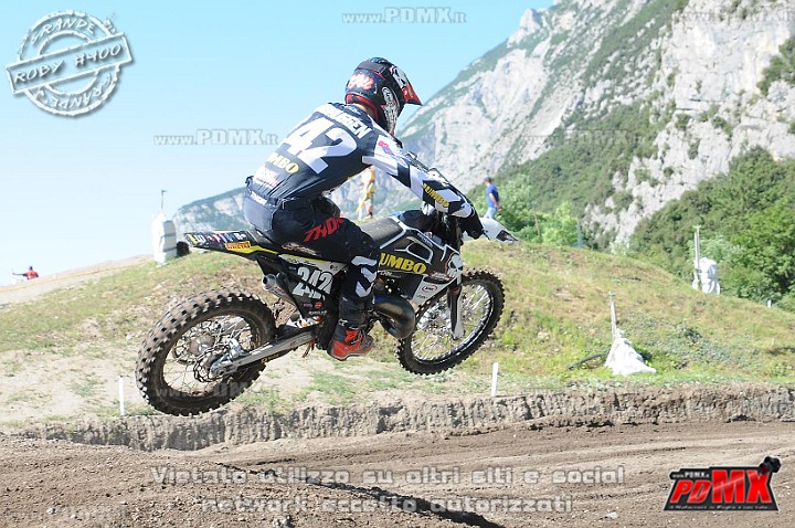 FOX_3309.JPG