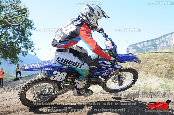 FOX_3310.JPG