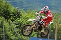 FOX_3081